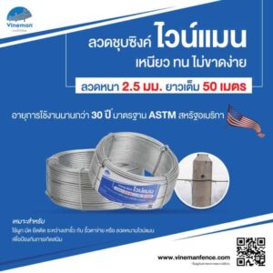 ลวดอเนกประสงค์ ชุบซิงค์ ไวน์แมน