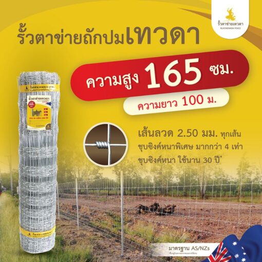 รั้วตาข่ายเทวดา รั้วตาข่ายถักปม  ความสูง 165 ซม. ลวดหนา 2.5 มม.  (ยาว 100 เมตร) [อายุการใช้งาน 40 ปี*]