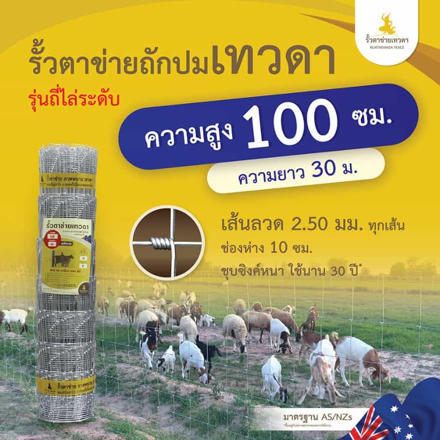 รั้วตาข่าย รั้วเทวดา – รุ่นถี่ไล่ระดับ ช่องห่าง 10 ซม. ความสูง 100 ซม. ลวดหนา 2.5 มม. (ยาว 30 เมตร) [อายุการใช้งาน 40 ปี*]