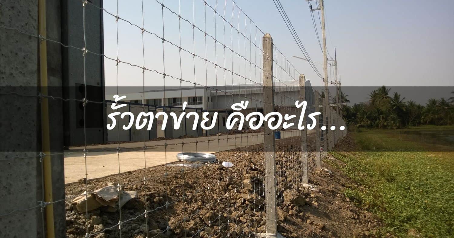 รั้วตาข่าย คืออะไร