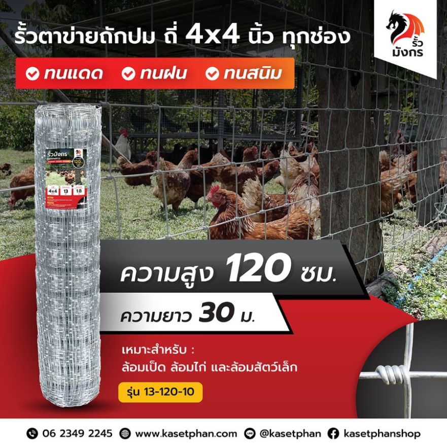 รั้วตาข่ายถักปม รั้วมังกร ถี่พิเศษ 4×4 นิ้ว เท่ากันทุกช่อง ความสูง 120 ซม. (ยาว 30 เมตร) หนา 1.8 มม. [อายุการใช้งาน 10 ปี*]